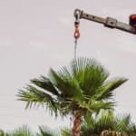 How Much Does Crane Service Cost in Grand Rapids