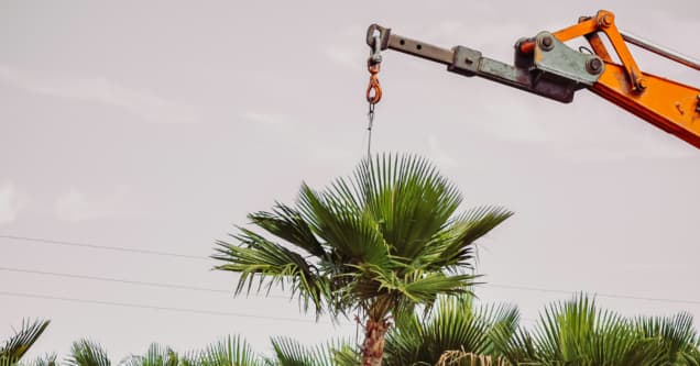 How Much Does Crane Service Cost in Grand Rapids, MI?